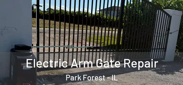 Electric Arm Gate Repair Park Forest - IL