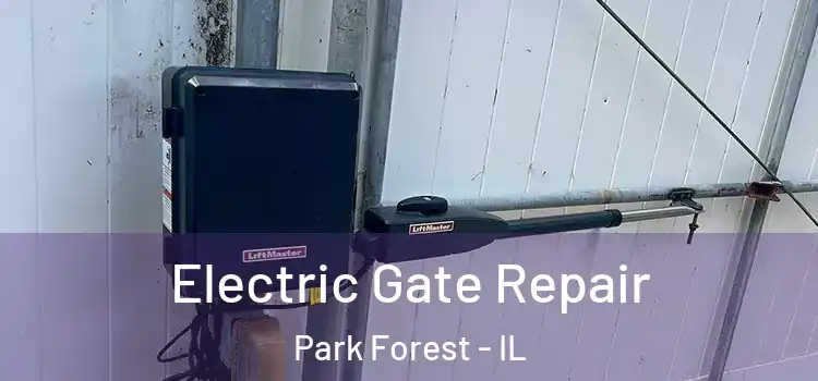 Electric Gate Repair Park Forest - IL