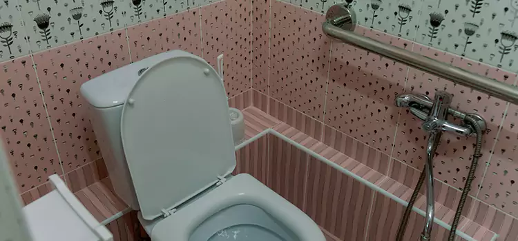 Meeting Diverse Needs With Accessible Restroom Solutions in Park Forest, IL