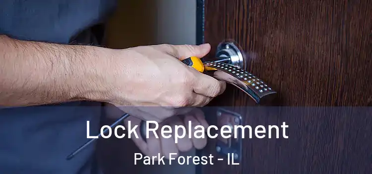  Lock Replacement Park Forest - IL