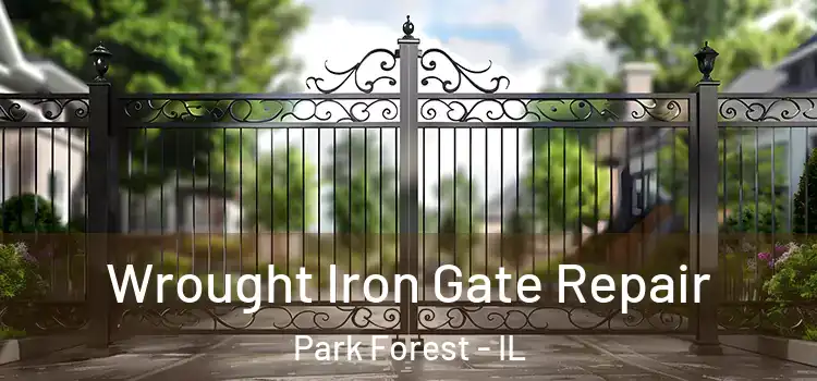 Wrought Iron Gate Repair Park Forest - IL